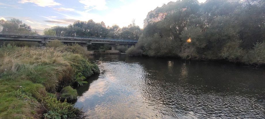 Дача   по адресу Зазерье, 88