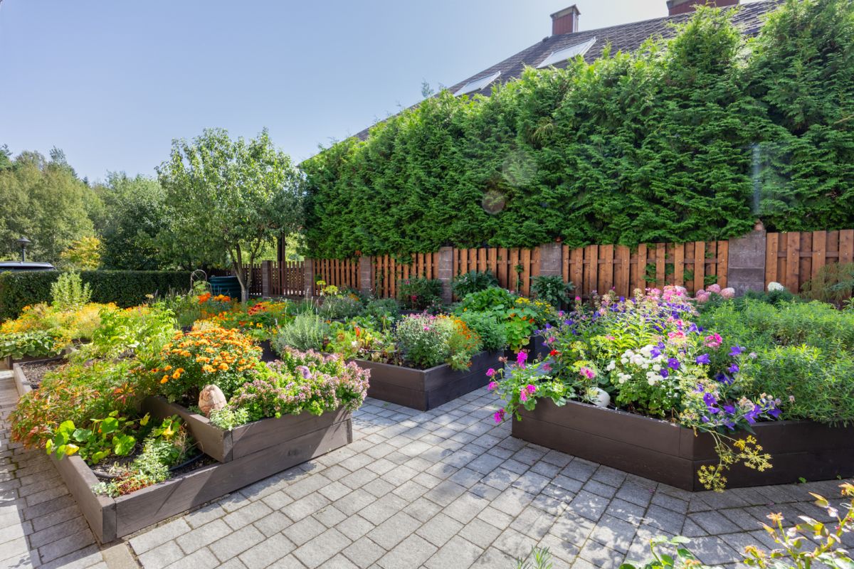 Дом   по адресу Дички