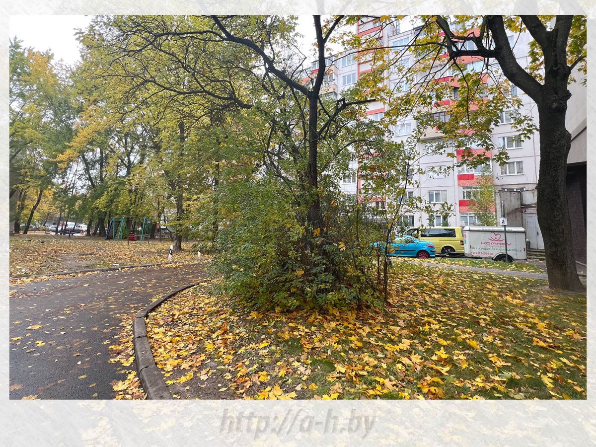 3 комнатная квартира  по адресу Минск, Янки Мавра, 64