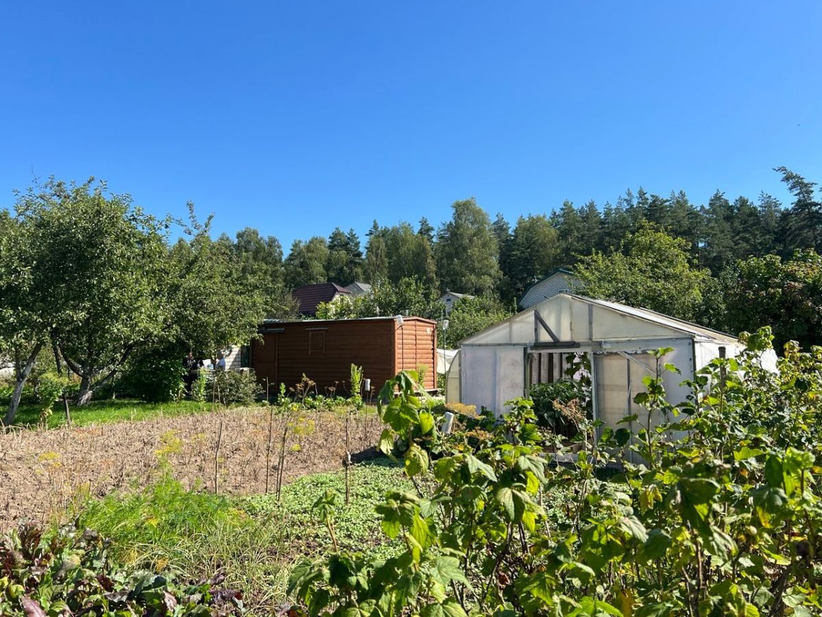 Дача   по адресу Боровцы