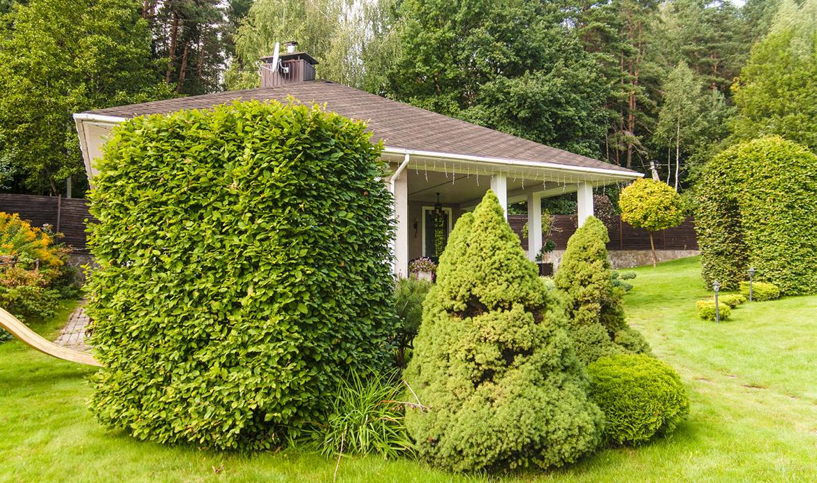 Дом   по адресу Губичи, Улица Нагорная, 4