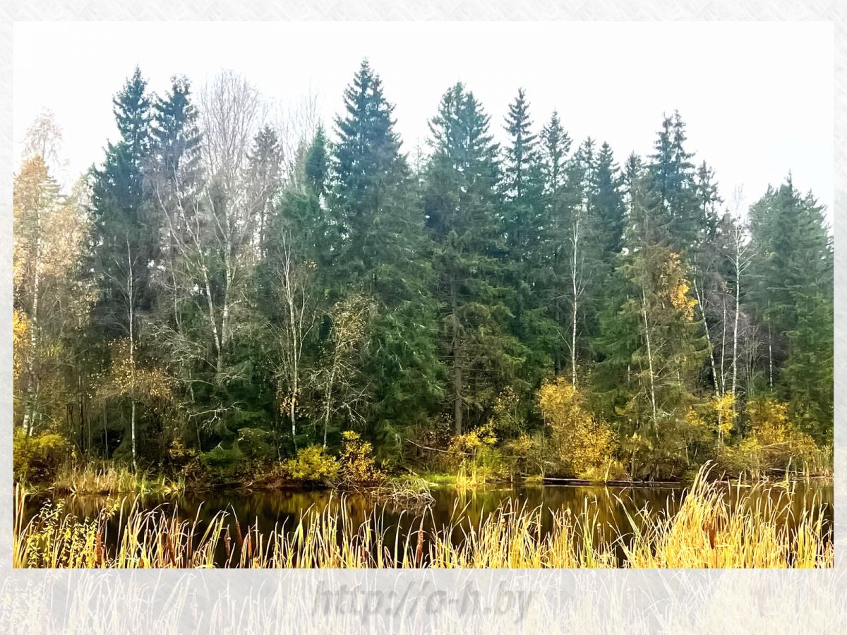 Дом   по адресу Кучкуны, Улица Заславская, 31