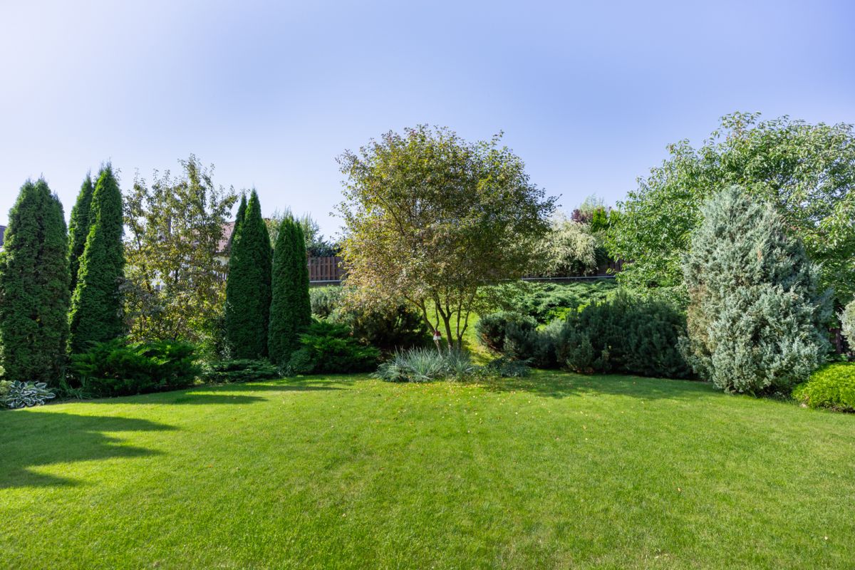 Дом   по адресу Дички