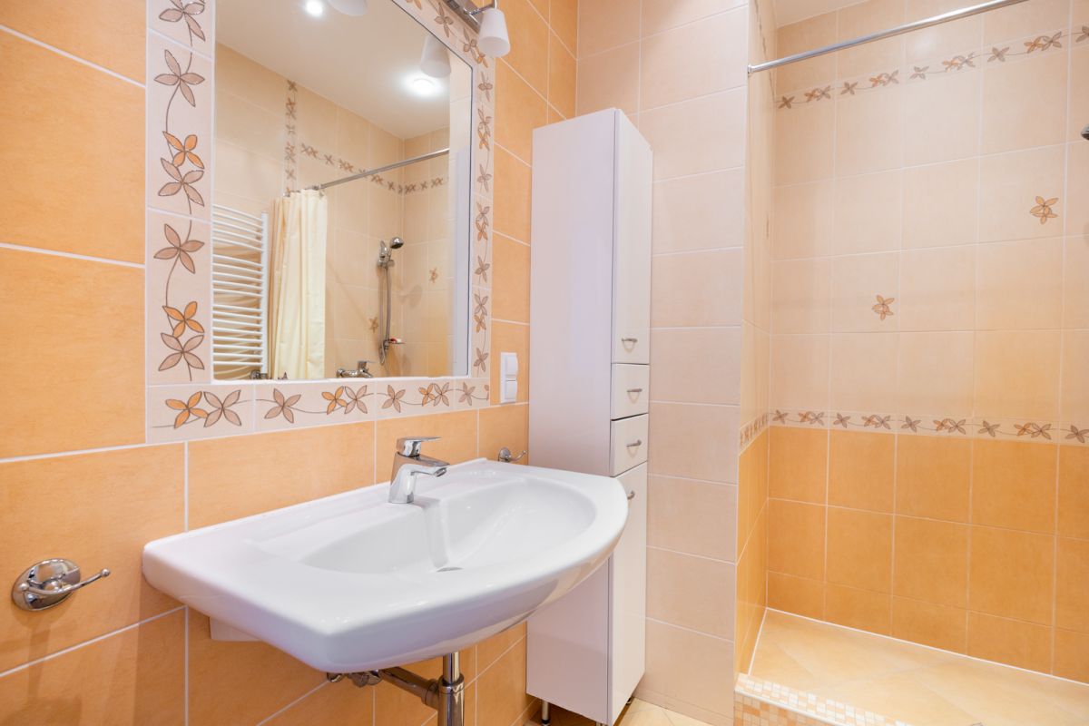 Дом   по адресу Дички