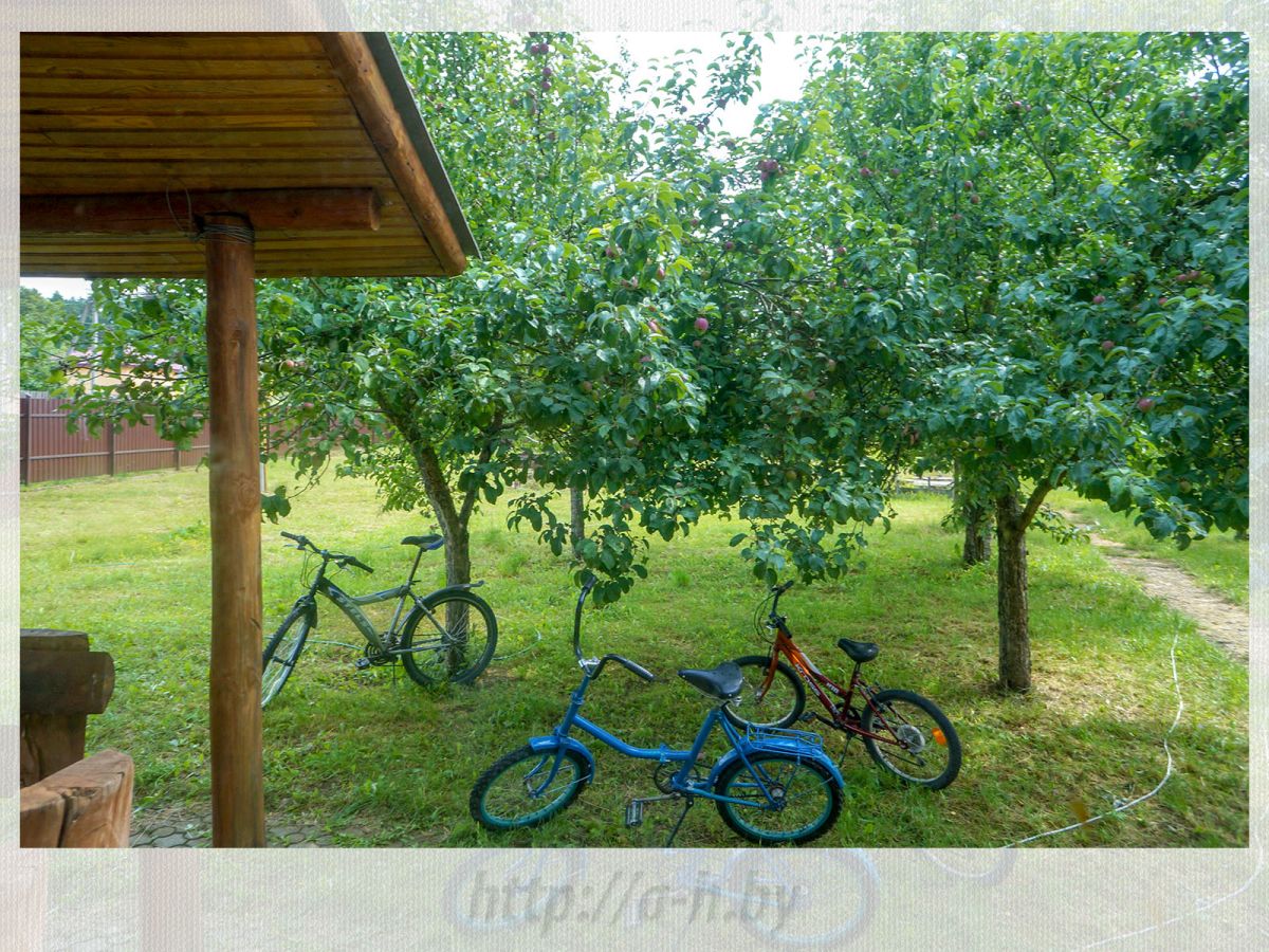 Дом   по адресу Нарочь, Улица Солнечная, 10