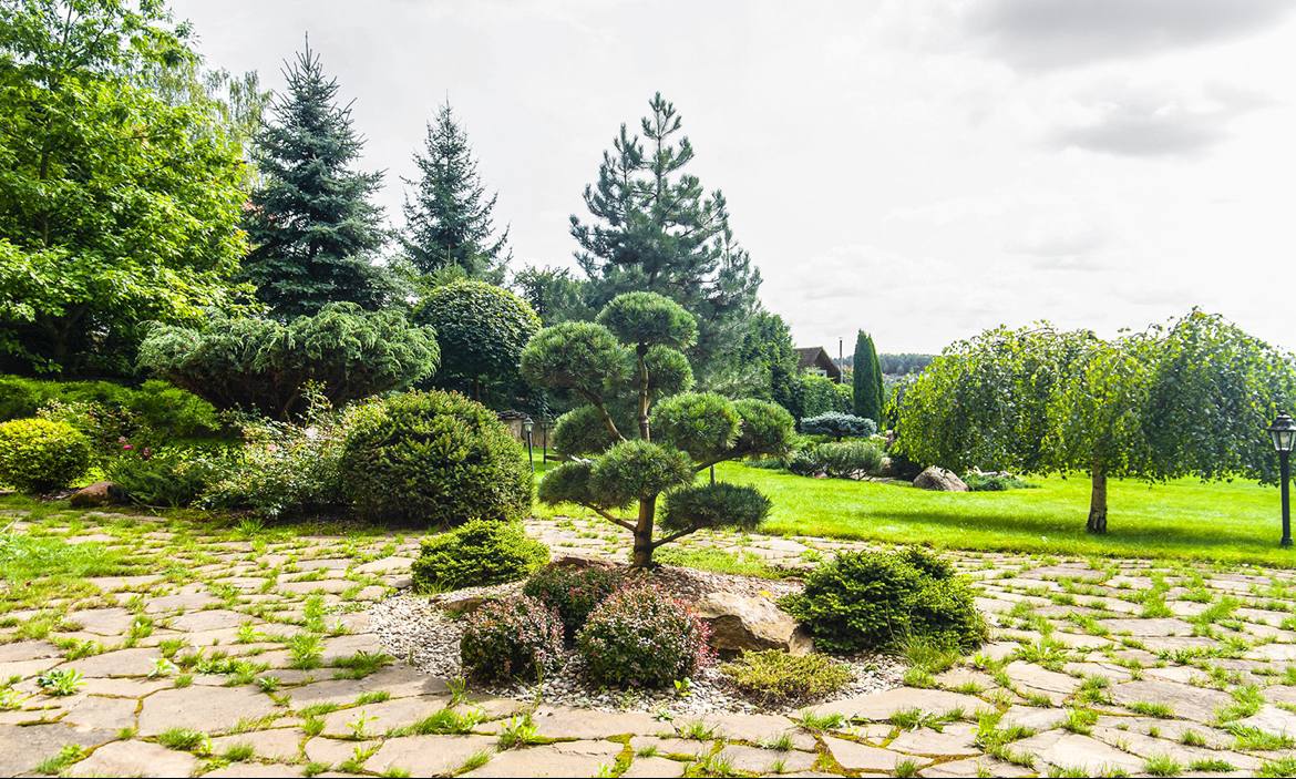 Дом   по адресу Губичи, Улица Нагорная, 4